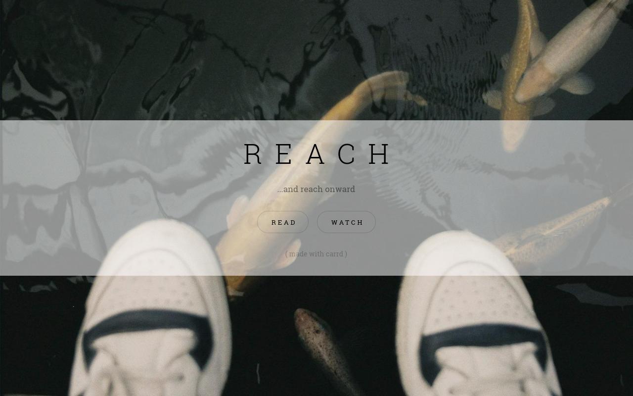 Carrd profile picture for @reach